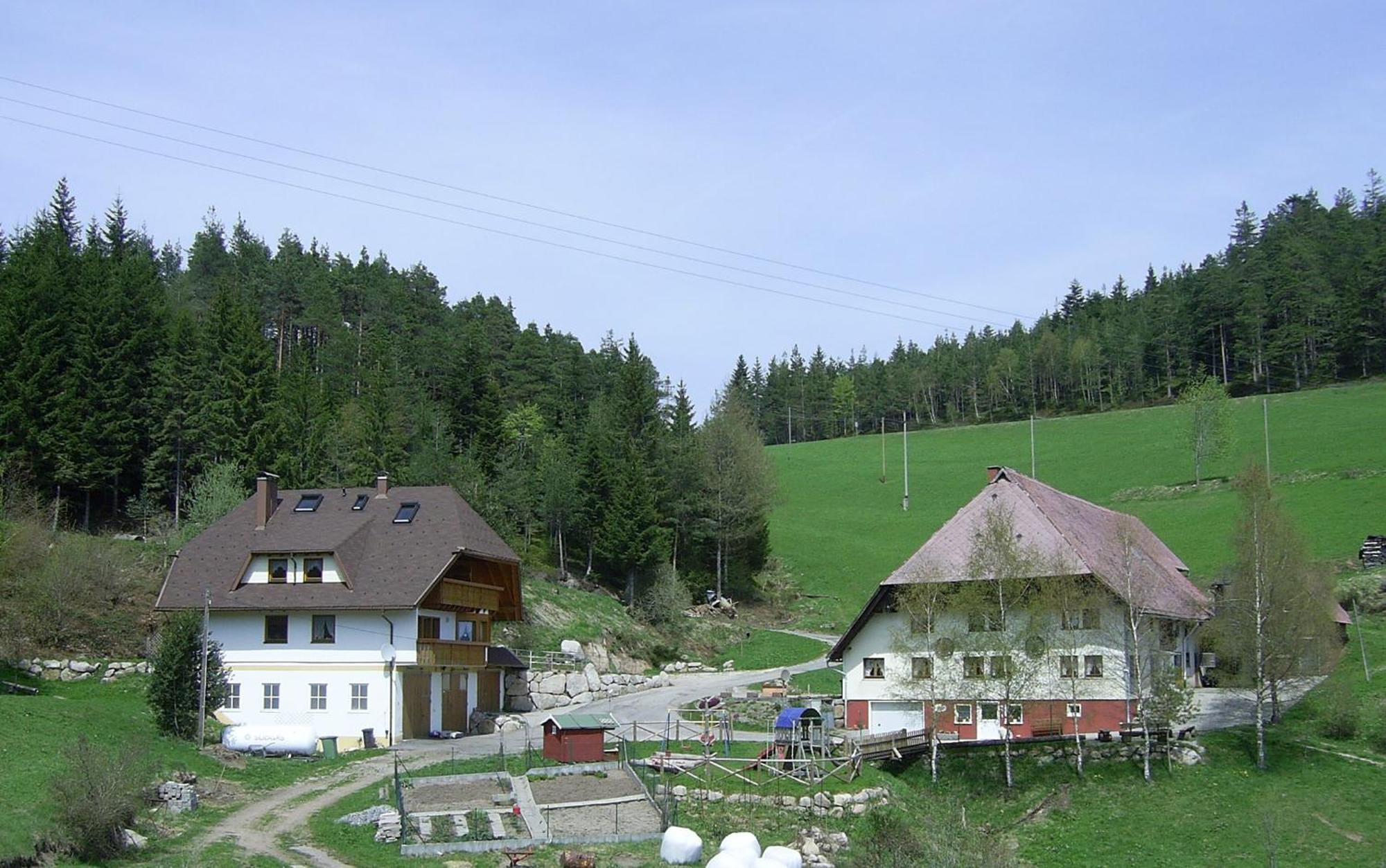 Hinterhauensteinhof Hornberg Exterior foto
